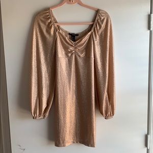 Shimmery Dress